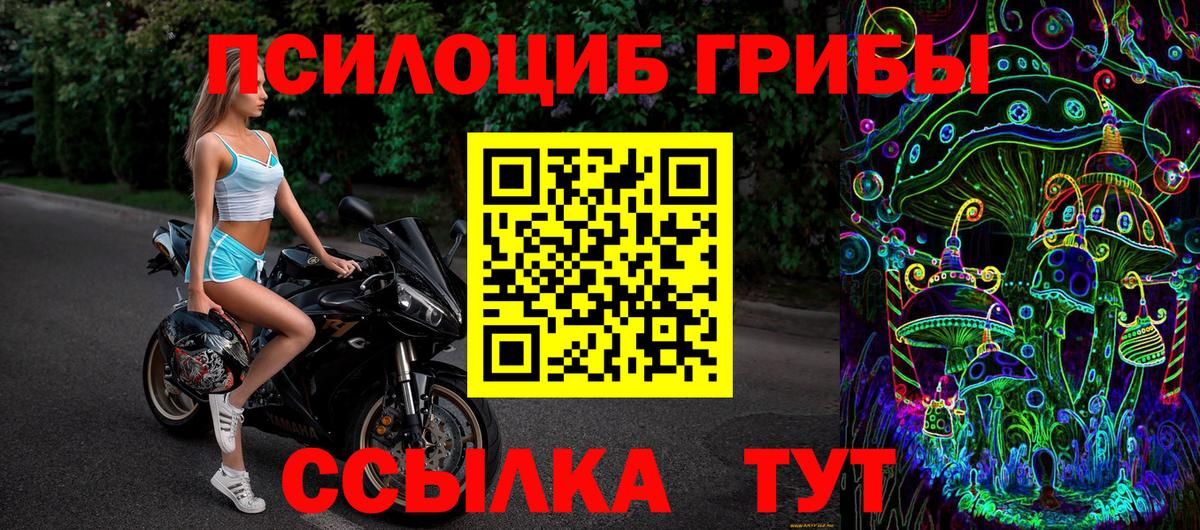 Пугачёв  Галлюциногенные грибы ЛСД  Псилоцибиновые грибы Magic Shrooms  Вход с VPN 